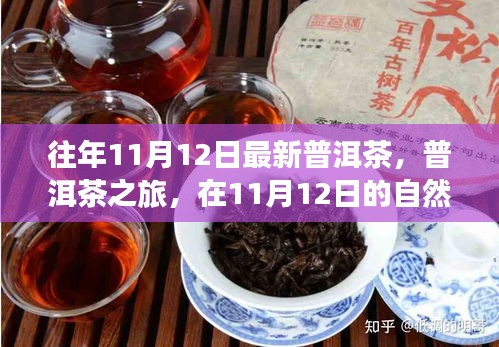 普洱茶之旅，在11月12日的自然懷抱中品味靜心之茶，探尋最新普洱茶的魅力