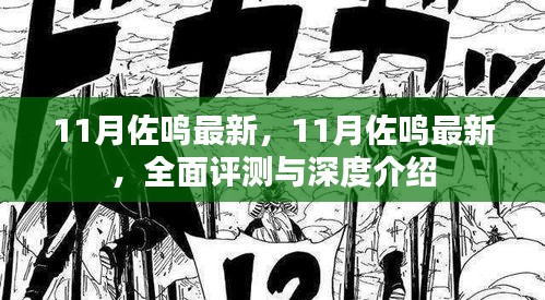 11月佐鳴最新，全面評測與深度介紹