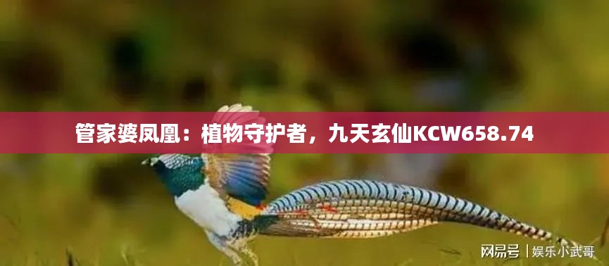 管家婆鳳凰：植物守護者，九天玄仙KCW658.74