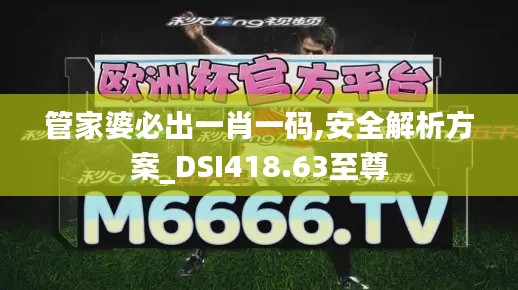 管家婆必出一肖一碼,安全解析方案_DSI418.63至尊