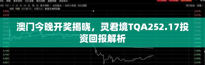 澳門今晚開獎揭曉，靈君境TQA252.17投資回報解析