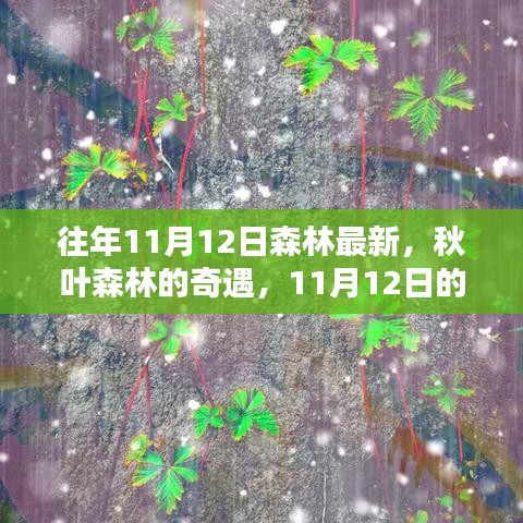 走馬觀花 第23頁