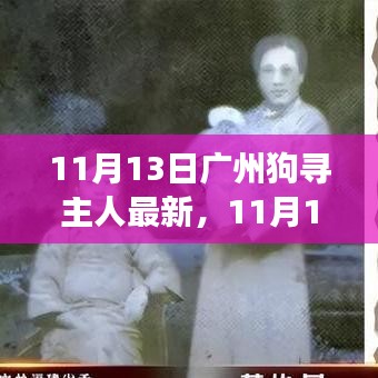 廣州狗狗尋找主人最新進展，溫暖重逢與尋寵路上的希望（11月13日更新）