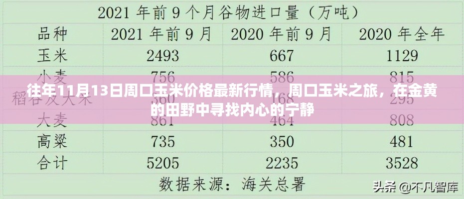 往年11月13日周口玉米價格更新，田野探索與內(nèi)心寧靜之旅