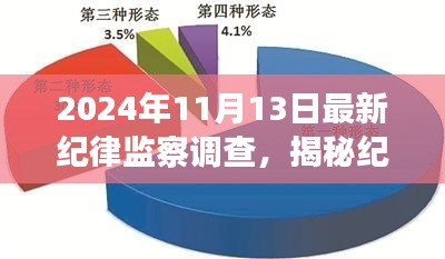 揭秘紀律監(jiān)察調查，最新動態(tài)與深度解讀（以紀念日期為例）