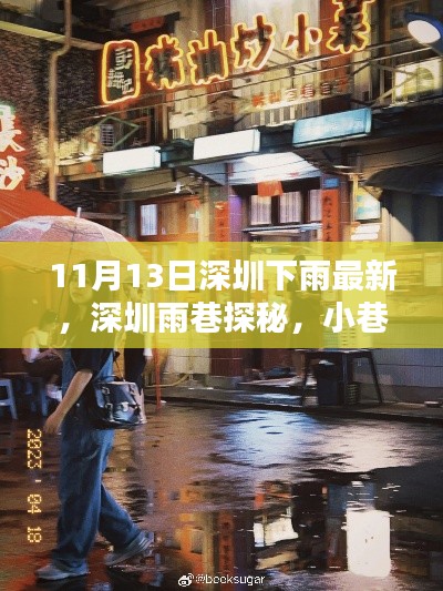 深圳雨巷探秘，美味驚喜與雨中的小巷風(fēng)情