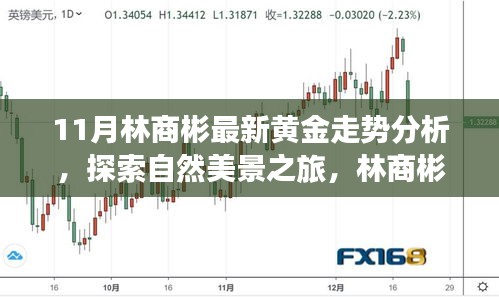 林商彬黃金走勢(shì)分析與自然美景探索，黃金與心靈的對(duì)話