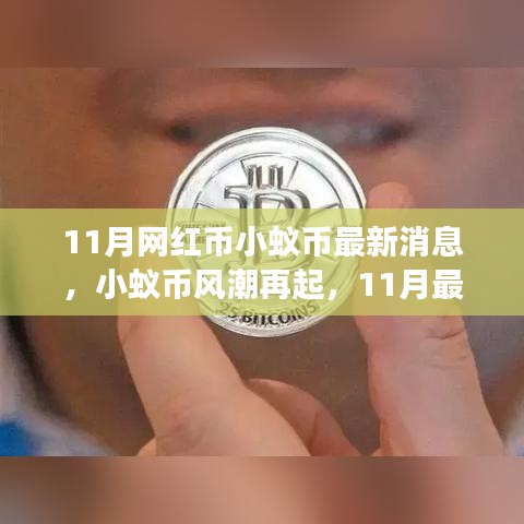 11月小蟻幣風潮再燃，最新動態(tài)與深度解讀