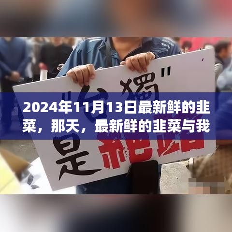 新鮮韭菜與溫馨故事，2024年11月13日的邂逅