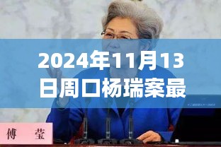 楊瑞案背后的故事，變化的力量與自信的重生最新進展，周口楊瑞案深度剖析（2024年11月13日）