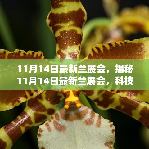 揭秘最新蘭展會，科技革新引領(lǐng)未來生活風(fēng)采展盛大開幕