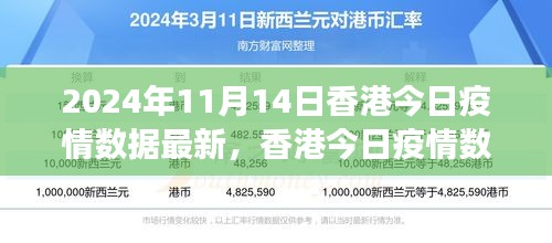 2024年11月14日香港疫情數(shù)據(jù)報告，最新分析與觀察思考