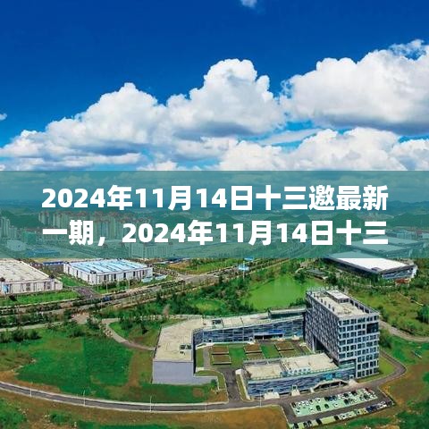 聚焦觀點之爭，深度解析2024年最新一期十三邀