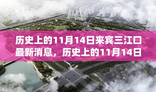 歷史上的11月14日，來賓三江口最新發(fā)展動態(tài)揭秘