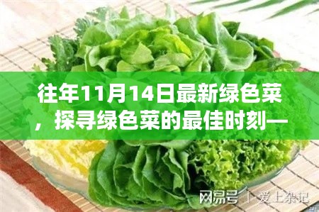 探尋綠色菜的最佳時刻，以往年11月14日為例的蔬菜盛宴