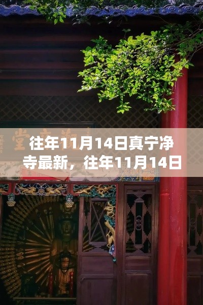 往年11月14日真寧凈寺探訪攻略，領(lǐng)略古寺魅力，最新指南全解析