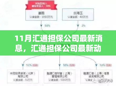 匯通擔(dān)保公司最新動態(tài)解析及觀點探析，11月最新消息速遞