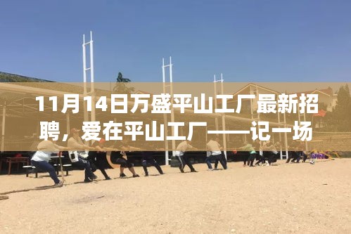 愛在平山工廠，最新招聘與求職之旅啟程