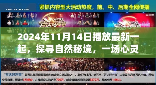 探尋自然秘境，心靈之旅啟程于2024年11月14日