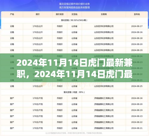 2024年11月14日虎門最新兼職，機(jī)遇與挑戰(zhàn)并存