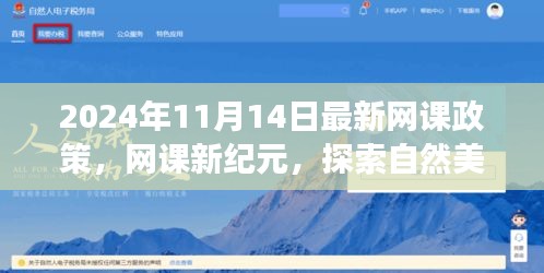 2024網(wǎng)課新紀元，探索自然美景與心靈之旅的新課標