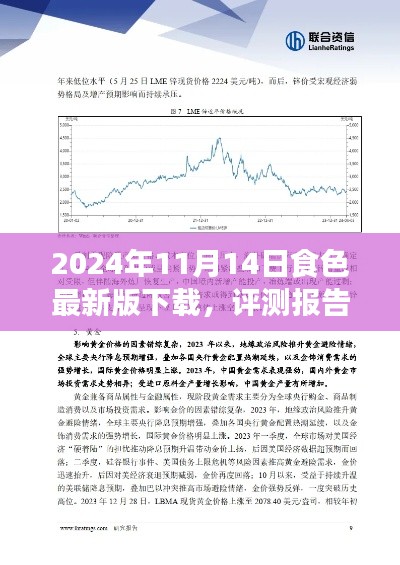 深度評測報告，2024年食色最新版下載解析