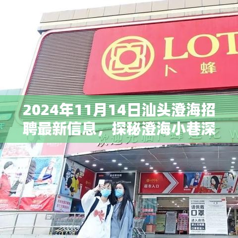 2024年汕頭澄海最新招聘信息揭秘，小巷深處的獨(dú)特小店招聘動態(tài)