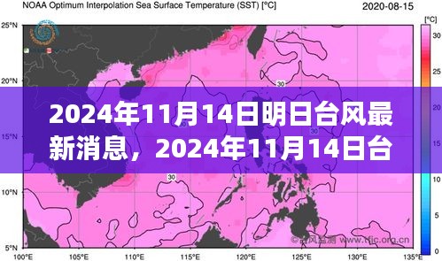 臺風最新消息深度評測，特性、體驗、競品對比與用戶分析（2024年臺風動態(tài)）