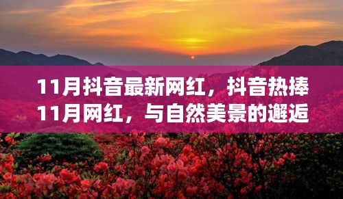 抖音熱捧的11月網(wǎng)紅，與自然美景的邂逅與內(nèi)心寧靜之旅