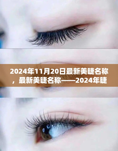 最新美睫名稱揭秘，2024年睫毛美學(xué)的革命性變革