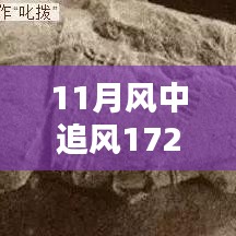 揭秘，風(fēng)中追風(fēng)最新裝備的時(shí)代地位與影響，逐風(fēng)而行，價(jià)值高達(dá)172萬裝備重磅登場！