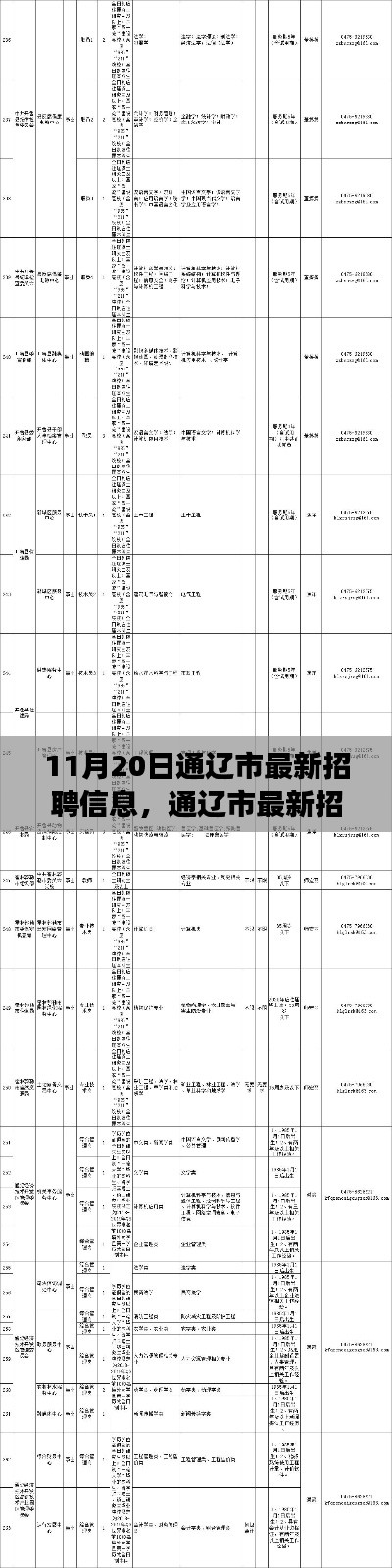 通遼市最新招聘信息概覽，職場人的福音（11月20日更新）