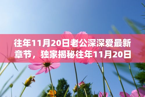 往年11月20日老公深情與高科技融合，全新智能伴侶揭秘，顛覆想象！