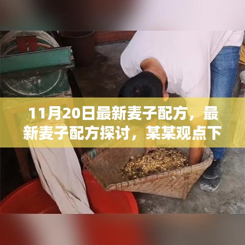 最新麥子配方探討，某某觀點下的分析與個人立場分享（11月20日更新）