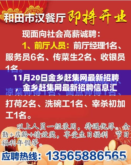 11月20日金鄉(xiāng)趕集網(wǎng)最新招聘匯總，熱點(diǎn)崗位解析與招聘信息