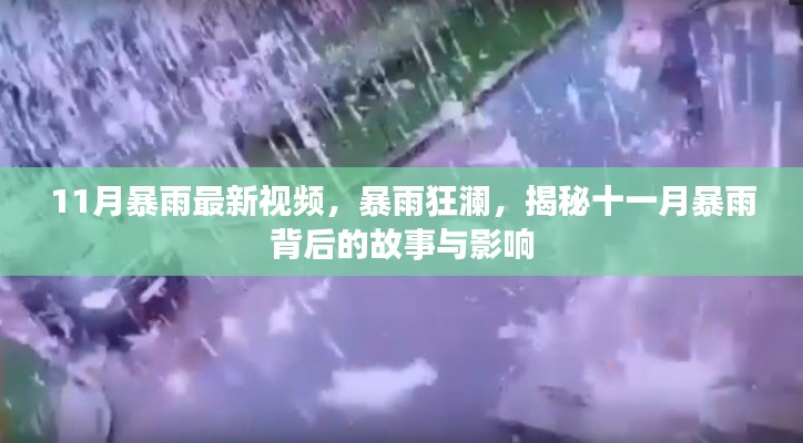 揭秘十一月暴雨背后的故事與影響，暴雨狂瀾最新視頻報道