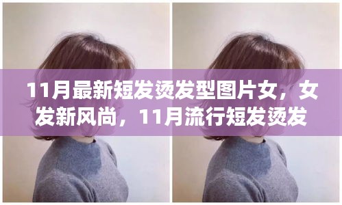 11月流行女發(fā)短燙發(fā)，全新風(fēng)尚與全攻略圖片欣賞