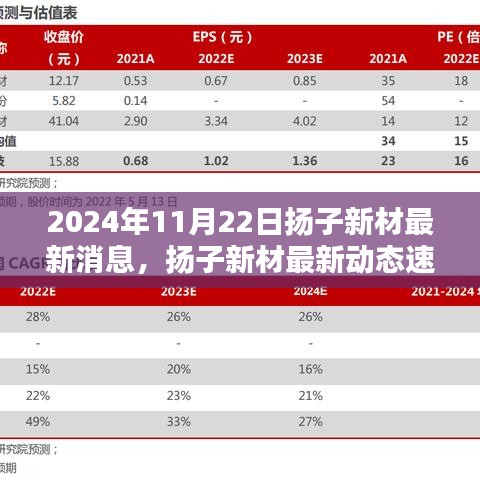 2024年11月22日揚子新材最新消息，揚子新材最新動態(tài)速遞，2024年11月22日的三大看點