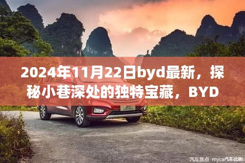 探秘小巷深處的獨(dú)特寶藏，BYD最新隱藏版特色小店揭秘（2024年11月22日）