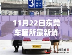 東莞車管所溫馨日常，趣事與陪伴的特別記錄（11月22日最新消息）