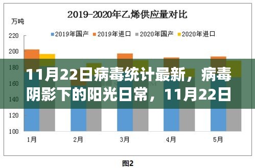 11月22日病毒最新統(tǒng)計(jì)，陽(yáng)光日常中的溫馨小故事