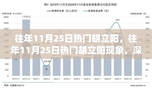 深度解析與觀點(diǎn)闡述，胡立陽(yáng)現(xiàn)象——?dú)v年11月25日的熱門焦點(diǎn)