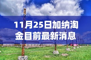 加納淘金最新動態(tài)，探尋秘境的心靈之旅