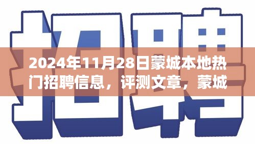 蒙城本地?zé)衢T(mén)招聘信息深度解析與評(píng)測(cè)報(bào)告（2024年11月28日）