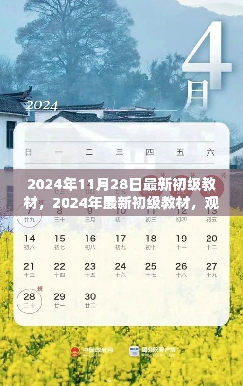 觀點闡述與深度分析，最新初級教材深度解讀（2024年最新版）