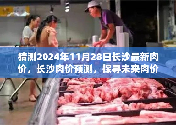 探尋長沙未來肉價走勢，預測長沙肉價至2024年11月28日最新趨勢分析