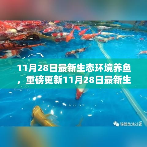 揭秘最新生態(tài)環(huán)境養(yǎng)魚秘籍，打造生態(tài)魚池新境界！