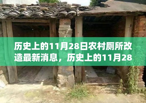 歷史上的11月28日，農(nóng)村廁所改造背后的勵志故事與變革力量最新消息