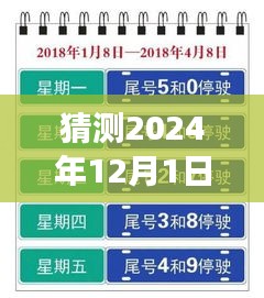 上海未來限行猜想，高架暢想曲與暖心故事，展望2024年12月的新規(guī)定