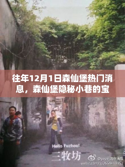 揭秘森仙堡隱秘小巷寶藏，十二月一日獨家新聞與特色小店的非凡魅力